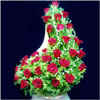 Red Infusion - Click here to View more details about this Product